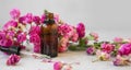 Rose oil. Spa and aromatherapy rose flowers essential oil bottle with pipette Royalty Free Stock Photo