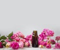 Rose oil. Spa and aromatherapy rose flowers essential oil bottle with copy space