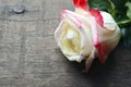 Rose on old wooden background for Valentine`s Day with copy space.Valentine rose. Royalty Free Stock Photo