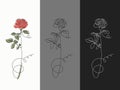 Rose in one line, with spots, with black and white outline Royalty Free Stock Photo