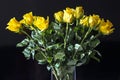 Yellow roses on a black background