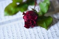 A rose on the open koran