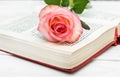 Rose with opened book on white wooden table. Close up Royalty Free Stock Photo