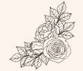 Rose ornament vector by hand drawing