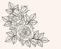 Rose ornament vector by hand drawing