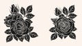 Rose ornament vector by hand drawing. Royalty Free Stock Photo