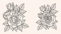 Rose ornament vector by hand drawing.