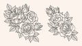 Rose ornament vector by hand drawing. Royalty Free Stock Photo