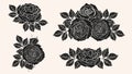 Rose ornament vector by hand drawing