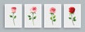 Rose painting set in watercolor style. Wall art watercolor painting background