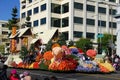 Rose Parade Pasadena 2011 Royalty Free Stock Photo