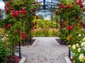 Rose passage in the park Royalty Free Stock Photo