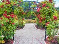 Rose passage in the park Royalty Free Stock Photo