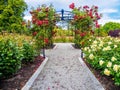Rose passage in the park Royalty Free Stock Photo
