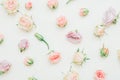 Rose pattern background multicolor flower buds