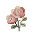 Rose pattern. Pixel rose flower image. vector illustration Royalty Free Stock Photo