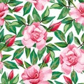 Rose pattern seamless white background