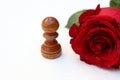 Rose with Pawn on white background. Love and choice concept Royalty Free Stock Photo