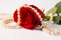 Rose & pearls Royalty Free Stock Photo