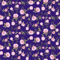 Rose peony flowers seamless pattern texture on blue background.