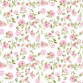 Rose peony flowers seamless pattern texture on white background.