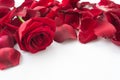 Rose petal frame Royalty Free Stock Photo