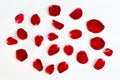 Rose petal isolate on a white background Red design heart Royalty Free Stock Photo
