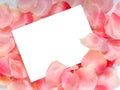 Rose Petal Notecard