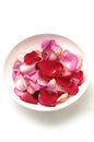 Rose Petal Spa Royalty Free Stock Photo