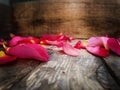 Rose petals. Autumn leaves. Autumn composition. Royalty Free Stock Photo