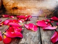 Rose petals. Autumn leaves. Autumn composition. On a wooden texture. Royalty Free Stock Photo