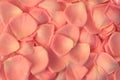 Rose petals background Royalty Free Stock Photo