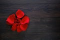 Rose petals on a black wooden background, copy space for text Royalty Free Stock Photo