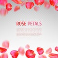 Rose petals border Royalty Free Stock Photo