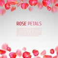 Rose petals border Royalty Free Stock Photo