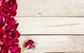 Rose Petals Border Royalty Free Stock Photo