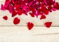 Rose Petals Border Royalty Free Stock Photo