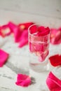 Rose petals in a bowl of water Royalty Free Stock Photo
