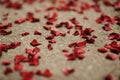Rose petals on the brown road. Romantic valentine day, happy birthday party. Royalty Free Stock Photo