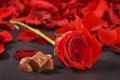 rose, petals and chocolates on black background Royalty Free Stock Photo
