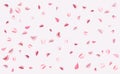 Rose petals falling down background