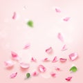 Rose and pink petals falling romance bridal blank page watercolor illustration Royalty Free Stock Photo