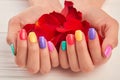 Rose petals in female manicured hands. Royalty Free Stock Photo