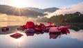 Rose Petals Floating on Water at Sunrise Royalty Free Stock Photo