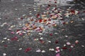 Rose petals on a grey surface Royalty Free Stock Photo