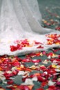 Rose petals on ground