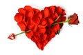 Rose petals heart with arrow Royalty Free Stock Photo