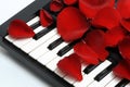 Rose petals on keyboard