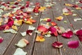 Rose petals lie on the floor. Wooden boards, flower petals - red, pink and white Royalty Free Stock Photo