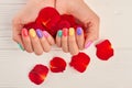 Rose petals in manicured hands. Royalty Free Stock Photo